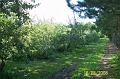 100_2476 (Copier)